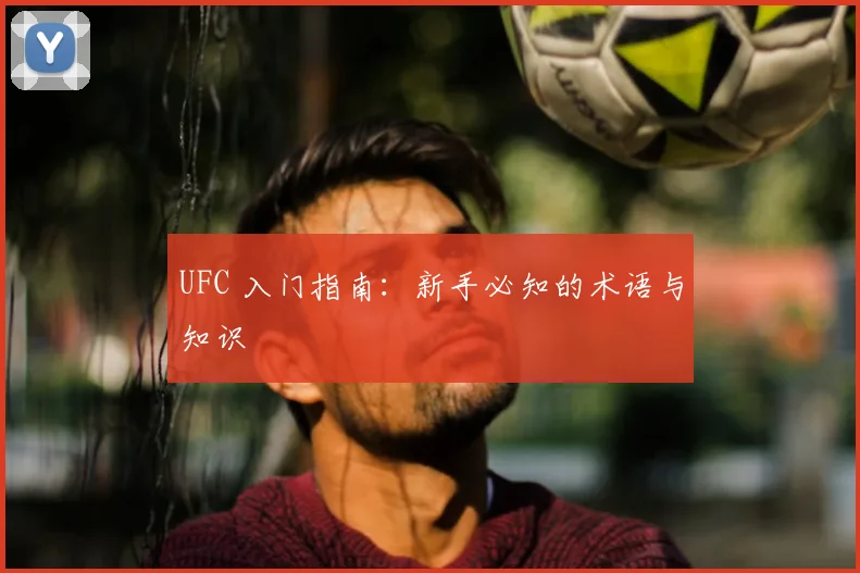 UFC 入门指南：新手必知的术语与知识