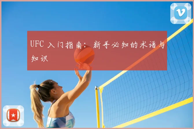 UFC 入门指南：新手必知的术语与知识