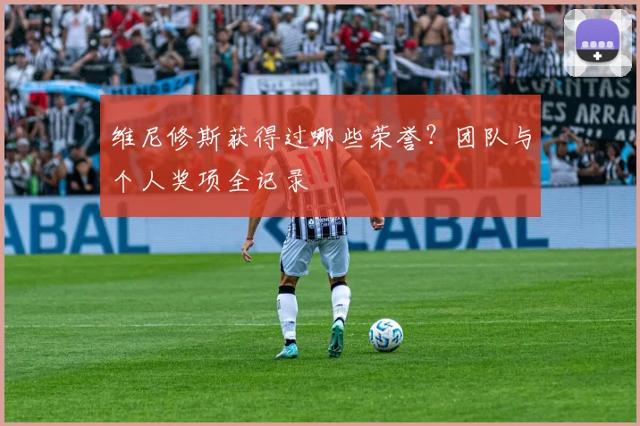 维尼修斯获得过哪些荣誉?团队与个人奖项全记录